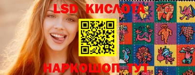 прущие грибы Краснокаменск